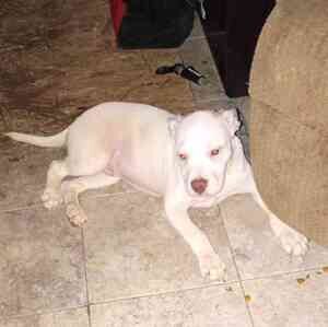 Meet your Posher, Terrance